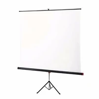 Экран на штативе 155x155 cm Braun Standard (white/silver с антибликовым покрытием) 1615833339