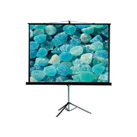 Экран на штативе ViewScreen Clamp Pro TCP-4303 (4:3) 171x128 (165x122, MW) 1307690760