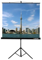 Экран на штативе Lumien Eco View LEV-100103 (1:1) 200x200 (200х200, MW) 2008848396