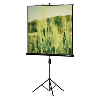 Экран на штативе Lumien Master View LMV-100101 (1:1) 127x127 (121х121, MW) 494817748