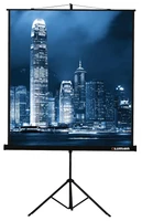 Экран на штативе Lumien Master View LMV-100104 (1:1) 213x213 (MW FG) 987439019