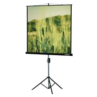 Экран на штативе Lumien Master View LMV-100102 (1:1) 153x153 (147х147, MW) 346707198