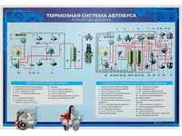 Стенд с разрезными агрегатами "Тормозная система автобуса" Zarnitza 677516914
