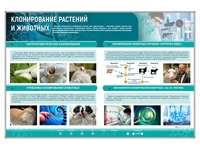 Сборный электрифицированный стенд "Клонирование растений и животных" Zarnitza 1075741588