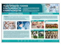 Сборный электрифицированный стенд "Редактирование геномов в растениеводстве и животноводстве" Zarnitza 1386653776