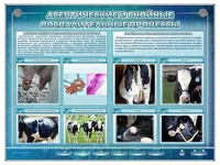 Интерактивный стенд "Асептические и гнойные воспалительные процессы" Zarnitza 1917905445