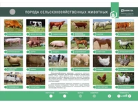 Электрифицированный стенд "Порода сельскохозяйственных животных" Zarnitza 229366777