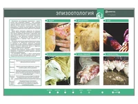 Электрифицированный стенд "Эпизоотология" Zarnitza 1937138891