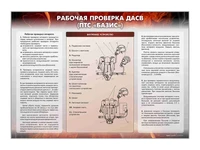 Информационный стенд "Рабочая проверка ДАСВ" (ПТС "Базис") Zarnitza 1983063211