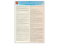 Стенды "Ответственность за правонарушения в области дорожного движения" Zarnitza 1780824847