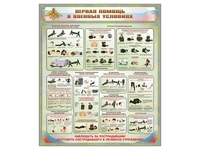 Стенды "Первая помощь в военных условиях" Zarnitza 1886102363