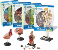 Развивающий игровой набор "Анатомия человека" Learning Resources LER3338 (Мозг, Сердце, Тело, Скелет. 132 элемента) 1240950048