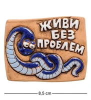 ФК- 7 Магнит «Живи без проблем!» (Step) 1258587185