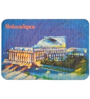 МТ- 008/04 Магнит «Новосибирск» 2005469378