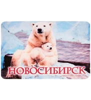 МТ- 007/04-C Магнит «Новосибирск» 798247507