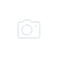 3D принтер Total Z Anyform 250-G3 (2Х) 2126459321