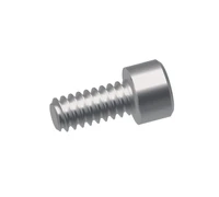 Винты с головкой и углублением под ключ 5/16 дюймов (100 шт в упаковке) TETRIX 39098 706669846