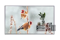 Настольный прозрачный дисплей LG 55EW5P-M 1810347434