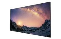 Профессиональная панель BENQ PL490 950411241