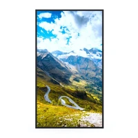 Профессиональная панель Hisense 49WF45H 49" 1690849779