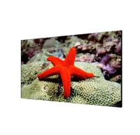 Профессиональная панель HIKVISION DS-D2055LR-G 636029483
