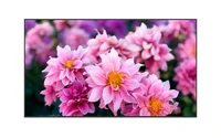Профессиональная панель EliteBoard LK-110US2SN 2134336918