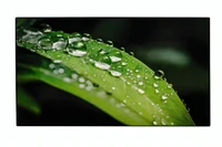 Профессиональная панель Dahua Technology DHI-LS550KDH-UF 1789866169