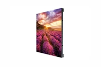 Светодиодный экран Samsung IF020H 2112608261
