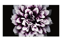 Светодиодный экран Samsung IW012J 1831264016