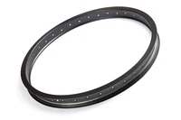 Обод 24" 40мм 36 спиц (e-Alfa FAT) 1075131294