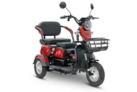 Электротрицикл Rutrike Бумеранг 1909414177