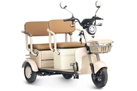 Электротрицикл Rutrike Атлас 746314832
