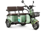 Электротрицикл Rutrike Gelbert Kang 48V/60V 800Вт 1846208718