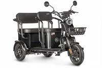 Электротрицикл Wanshida UM+ 60V 1000Вт 200840049