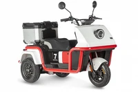 Электротрицикл Wanshida DOUHAO 60V 800Вт 231513185