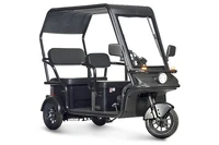 Электротрицикл Wanshida NIPLA 570 60V 1000Вт 1795565136