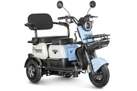 Электротрицикл Rutrike Gelbert Vega 48V/60V 600Вт 1422182238