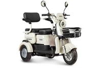 Электротрицикл Rutrike Gelbert Mercury 48V/60V 650Вт 840603006