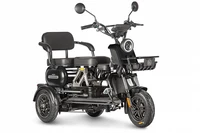 Электротрицикл Wanshida UN MOTO 60V 650Вт 2025733636
