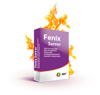 Современные программные технологии Fenix Server (лицензия), на 1 год 493228419