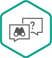 Kaspersky Ask the Analyst (базовый сертификат на 2 года), 10-Case Base Certificate 673199982
