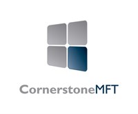 South River Technologies South River Cornerstone MFT (продление техподдержки Premium), Enterprise, 1 Year 866652579