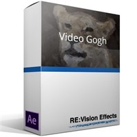 RE:Vision Effects, Inc. Video Gogh v4 (обновление лицензии GUI), с версии Video Gogh pre-v4 до версии v4, GUI 1054683623