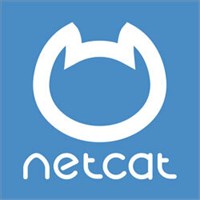 NetCat (лицензия), Версия E-Commerce 865447928