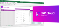 More4apps ERP Cloud Toolbox (лицензия), Starter Pack Includes 2 free seats на 1 год 1864671834