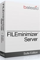 balesio AG balesio FILEminimizer Server (техподдержка), Лицензия Enterprise 1850266230