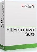 balesio AG FILEminimizer Suite (лицензия Premium Pack), Количество лицензии 1760681190
