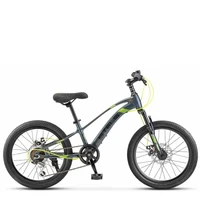 Велосипед Stels Leader-230 MD 20' Z010 (EP-00005889) 679528213