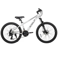 Велосипед 24' WOLF PL 840 1348770355
