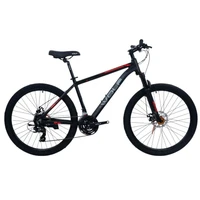 Велосипед 24' WOLF Platinum PL840 860731684